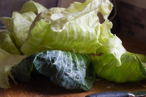tuffed Cabbage- Gluten Free 2