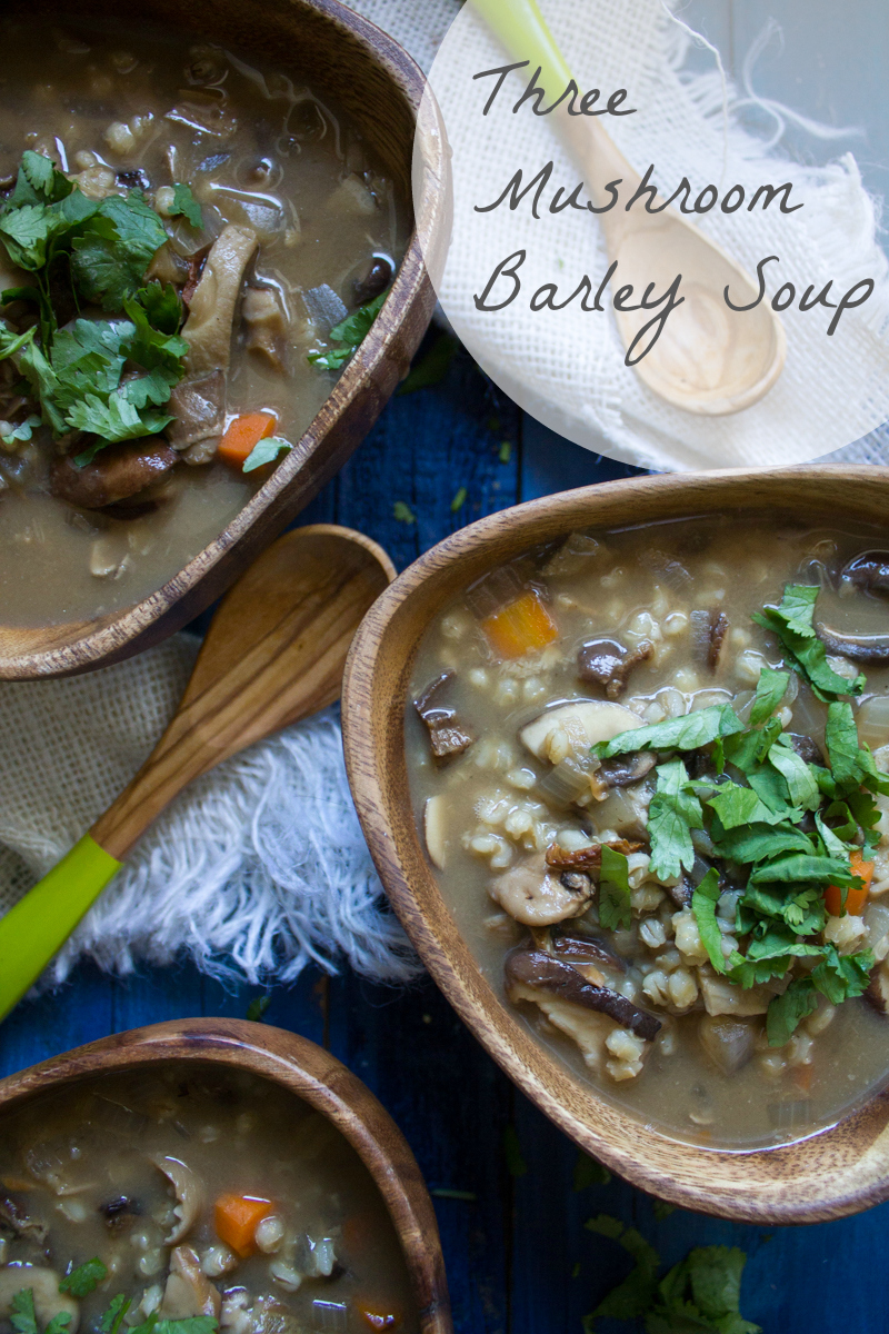 Three Mushroom Barley Soup - What Jew Wanna Eat