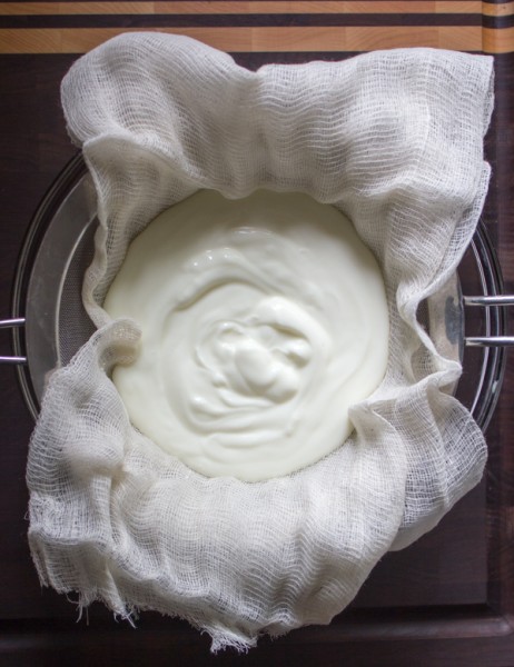 Whipped Goat Labneh