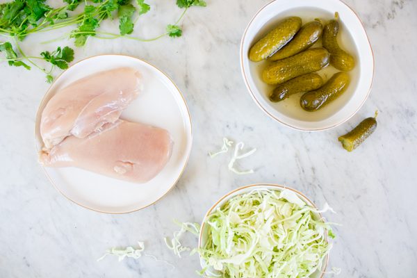 Pickle-Brined Schnitzel with Everything Slaw
