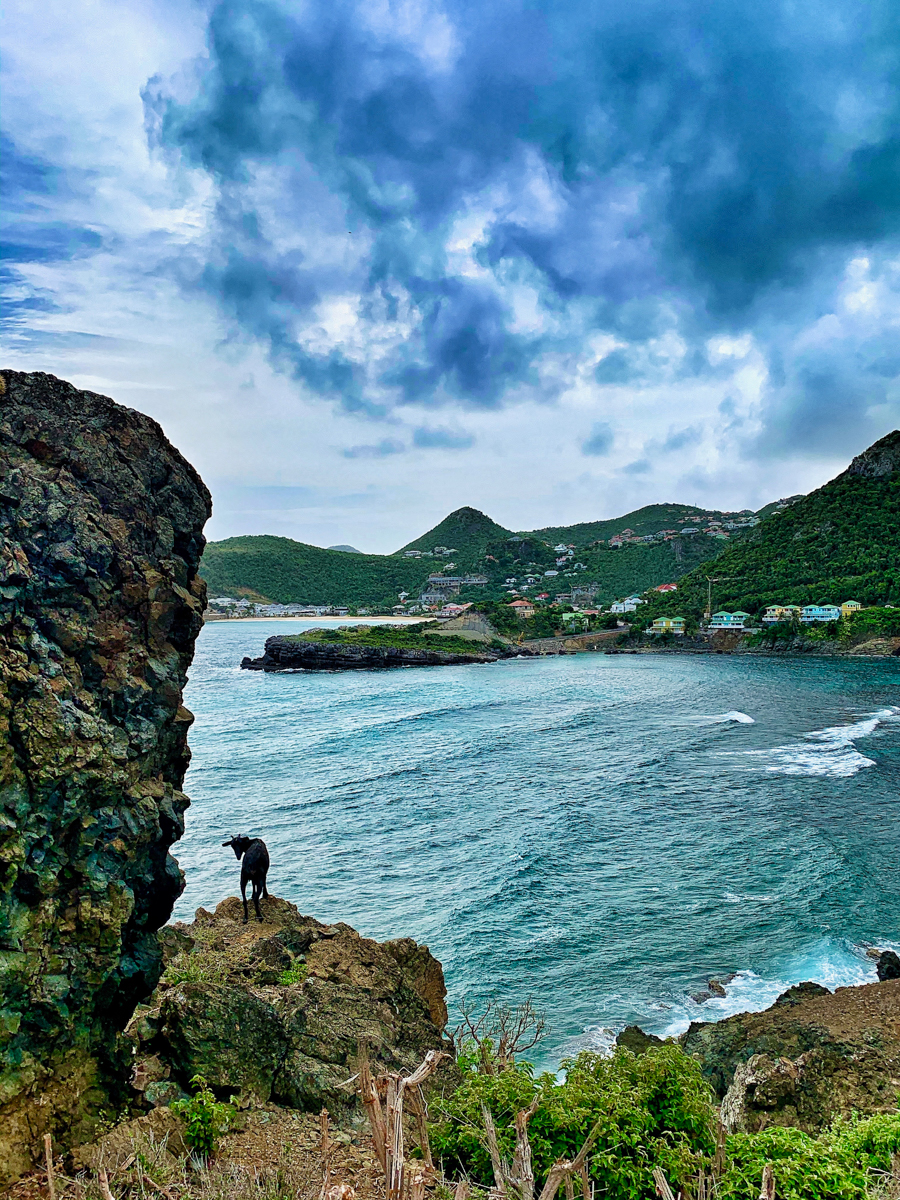 St. Barths Travel Guide: WJWE Travels - What Jew Wanna Eat